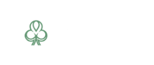 Dublinbet Casino logo